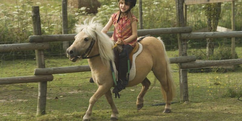 10 Minute Guided Imagery Script for Kids Pony Ride