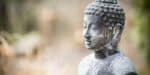 10 Minute Loving-Kindness Guided Meditation Script for Jealousy