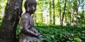 5 Minute Guided Meditation Script Gratitude Affirmations